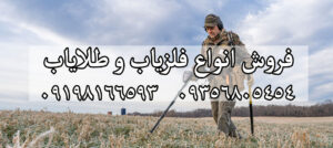 شاخص های مهم فلزیاب