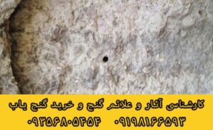 تشخیص ساروج