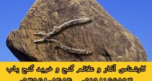 نشانه انبردست در گنج یابی