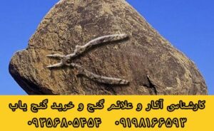 نشانه انبردست در گنج یابی