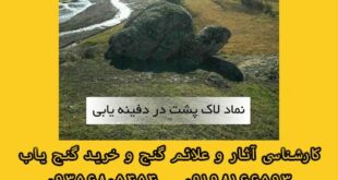 نماد لاک پشت در دفینه یابی