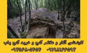 گنج یابی در جنگل | گنج یابی با درختان