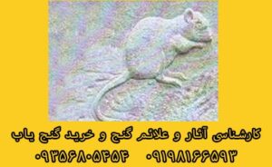 نماد موش در دفینه یابی