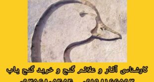 اردک یا غاز در گنج یابی