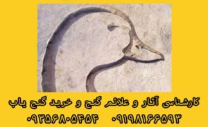 اردک یا غاز در گنج یابی