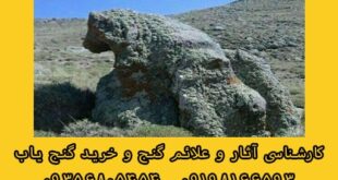 خرس در دفینه یابی