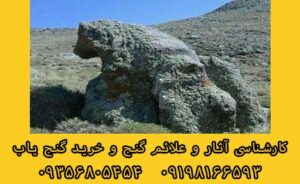 خرس در دفینه یابی