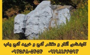 خوک در دفینه یابی