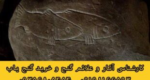 ماهی و گاو در گنج یابی