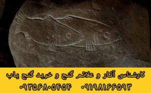 ماهی و گاو در گنج یابی