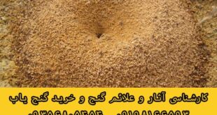 نقش مورچه در گنج و دفینه