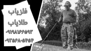 گنج یاب حرفه ای