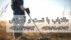 عملکرد و کاربرد طلایاب