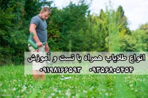 قیمت انواع طلایاب