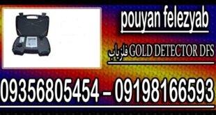 فلزیاب GOLD DETECTOR DFS