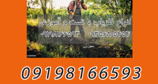 تاریخچه فلزیاب و کاربرد آن