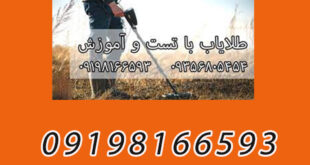 عملکرد و کاربرد طلایاب