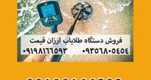 قیمت گنج یاب تصویری