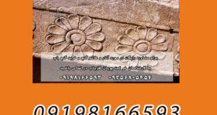 هر گلی نشانه دفینه نیست