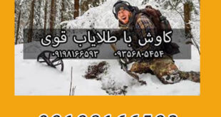 کاوش با طلایاب قوی